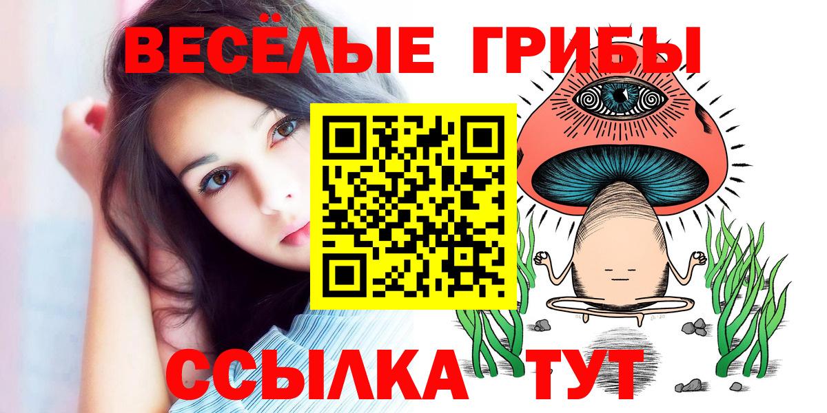 Псилоцибиновые грибы Psilocybe Анапа