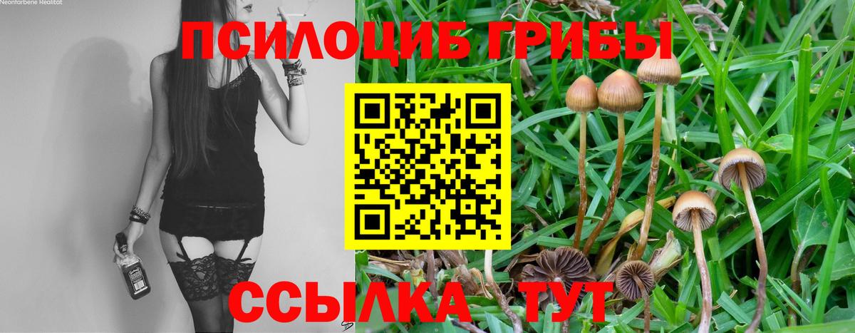 Галлюциногенные грибы мицелий  Вход с VPN  Анапа  Галлюциногенные грибы ЛСД 