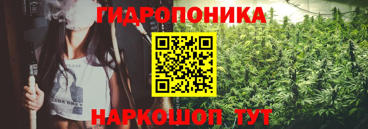 Шишки марихуана THC 21%  МАРИХУАНА семена  Вход с VPN  Анапа  Шишки марихуана OG Kush 